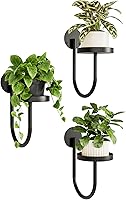 Bamworld Black Hanging Wall Planters Indoor - 3 Pack Plant Hangers, Window Shelves for Space-Saving Plant Decor