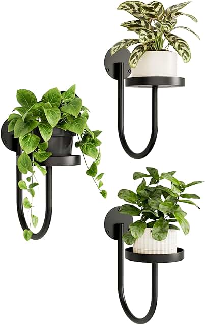 Bamworld Hanging Planters for Indoor Plants Wall Plant Holder Plant Hang...
