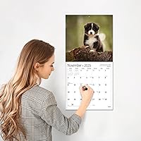 Vista 4 de RED EMBER Calendario de pared 2025 con diseño de cachorros de 12 meses, 12 x 24 pulgadas, abierto, papel grueso y resistente, para regalo