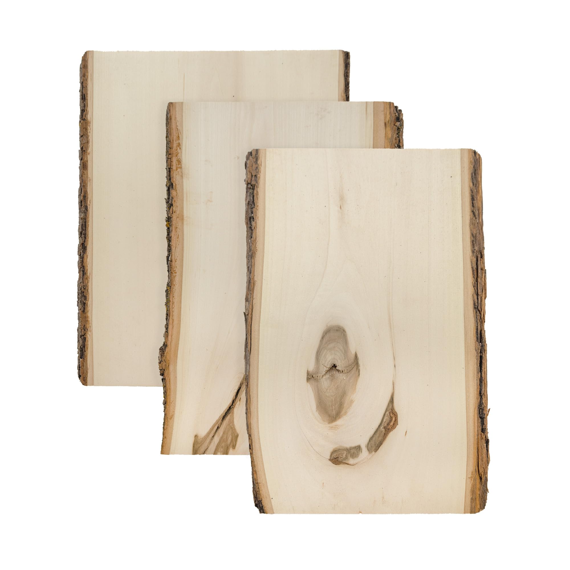 Walnut HollowRustic Basswood Plank, 7-9" Wide x 11" with Live Edge Wood (Pack of 3) - for Wood Burning, Home Décor, and Rustic Weddings