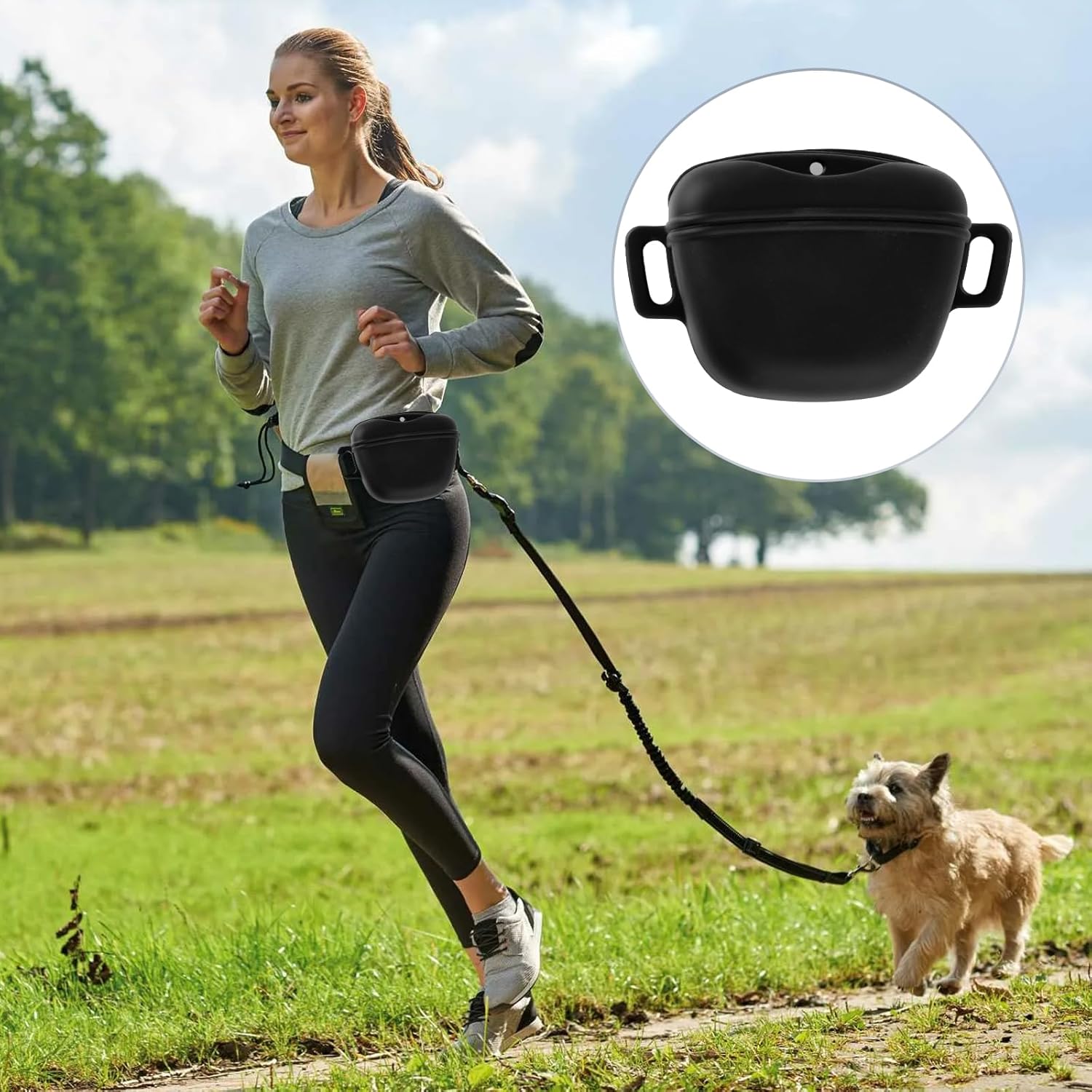 oibrxenl Silicone Dog Treat Pouch with Waist Belt and Training Clicker Magnetic Closure Dog Treat Bag Black Dog Treats Pouch for Pet Training Walking 7 712HNqvhigL. AC SL1500