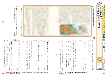 トイズアカデミー　T6プラス　小学6年生　国語 トイズアカデミー T6プラス 小学6年生 国語 - メルカリ