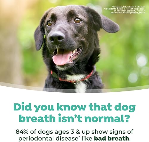 Miniatura 8 de TropiClean Fresh Breath - Aditivo de agua para el cuidado bucal para perros ambientador de aliento para perros placa y defensa del sarro no requiere
