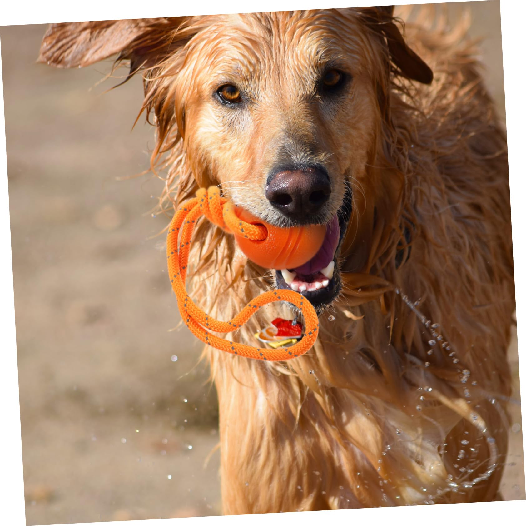 WOONEKY 3 Piezas Jugar con la Pelota masticadores Juguetes Perros Juguetes para Masticar Perros para Cachorros Dog Toys Juguetes para Perros pequeños Juguete Cachorro Caucho