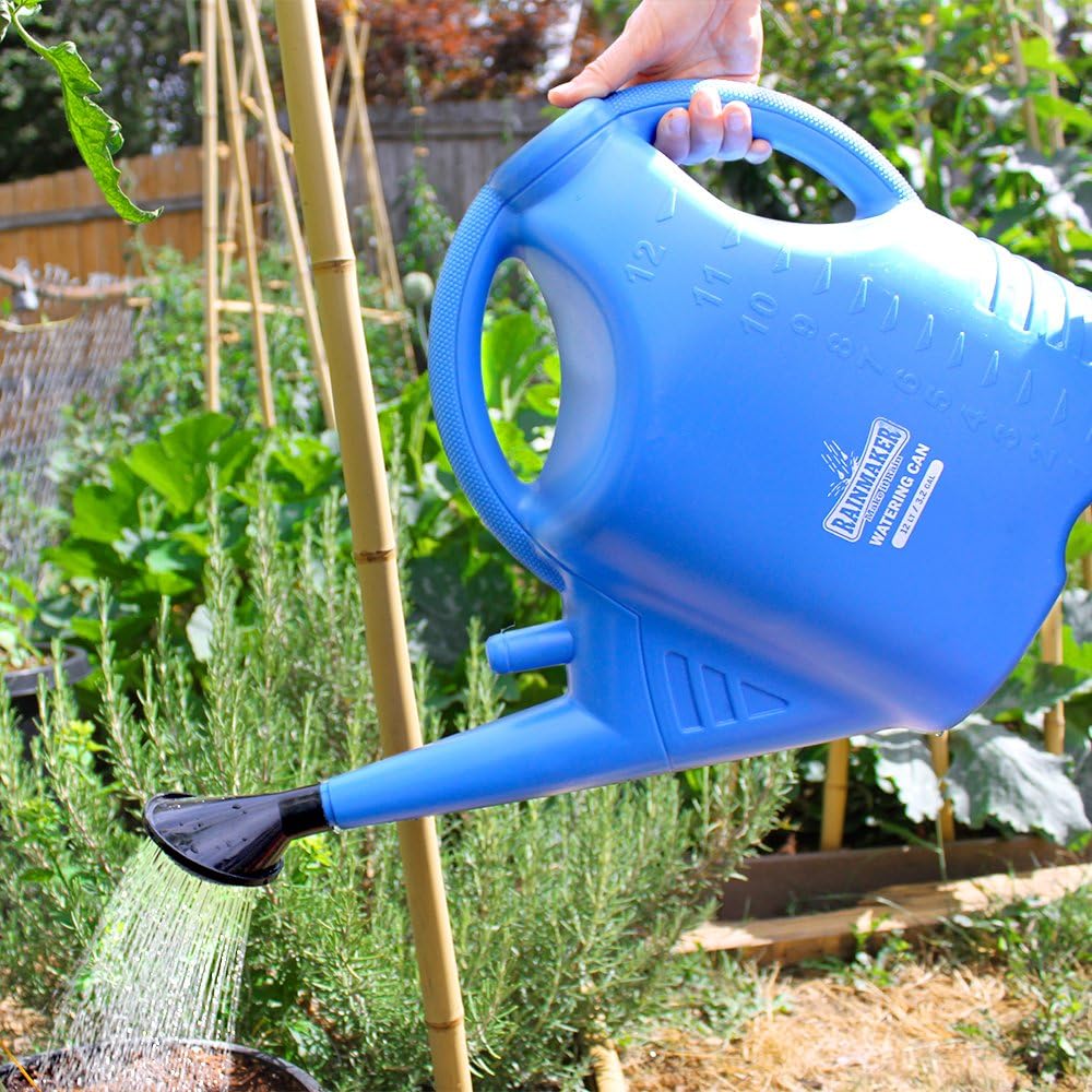 Rainmaker HGC708916 Watering Can Comes Shower Remove It for A Pour Spout 3.2 Gal/12 Liter, 3.2 Gallon, Blue : Garden & Outdoor