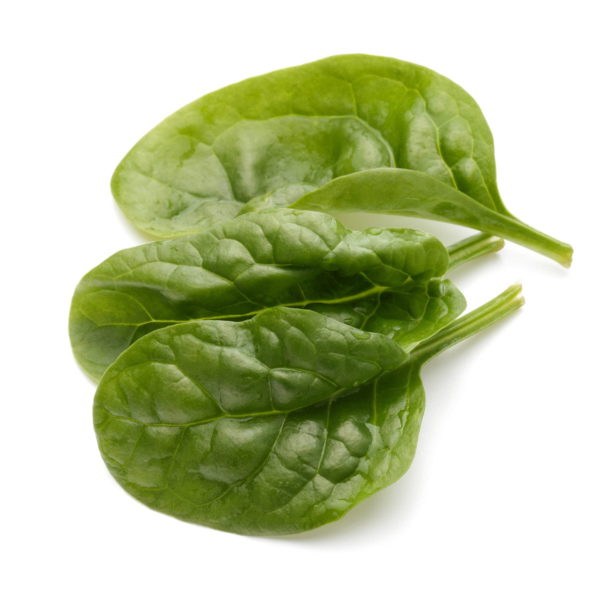 Giant Nobel Spinach Seeds