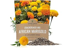 Sweet Yards 1 Oz Aztec Marigold Seeds Bulk Packet
