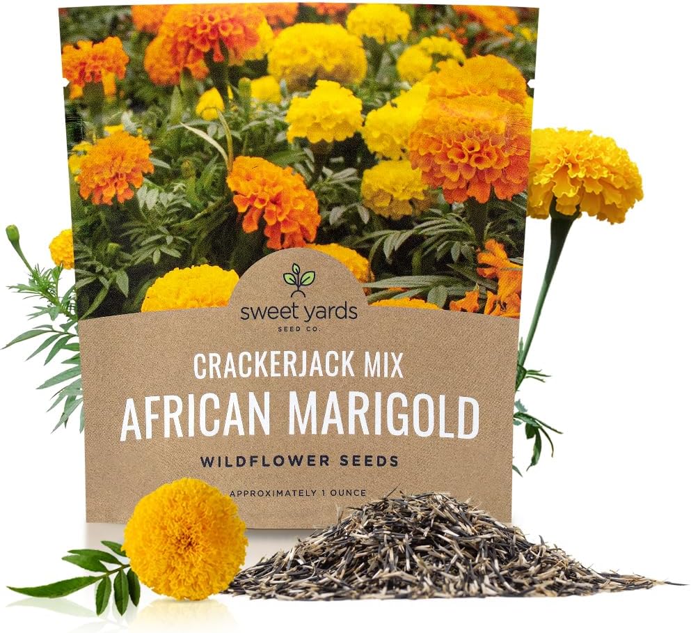 Sweet Yards African Marigold Seeds Mix Crackerjack Mix - Bulk 1 Ounce Packet - Over 10,000 Seeds - Huge Orange and Yellow Blooms - Adaptable to All US Regions - Pollinator Friendly