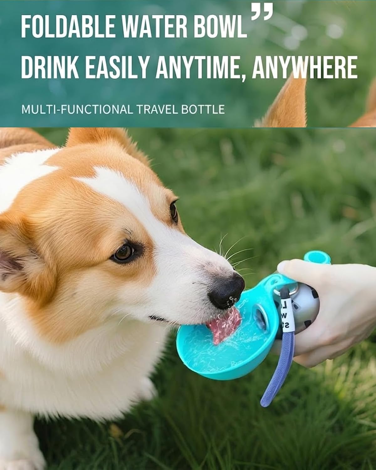 Portable Dog Water Bottle with Foldable Bowl, 304 Stainless Steel Travel Water Bottle - Leak-Proof, Dual-Use for Water & Food, Compact with Lanyard (Set A)