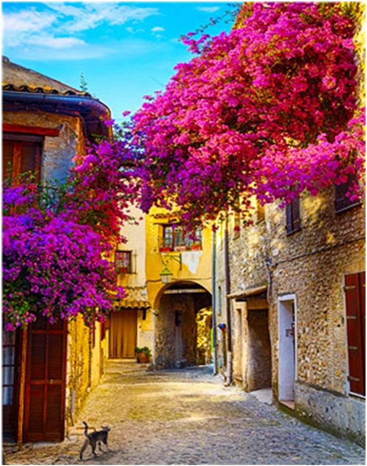 Katosca DIY Oil Painting Adults' Paint by Number Kits Flower House Theme Drawing Decoration on Canvas 16x20inch (European Town)