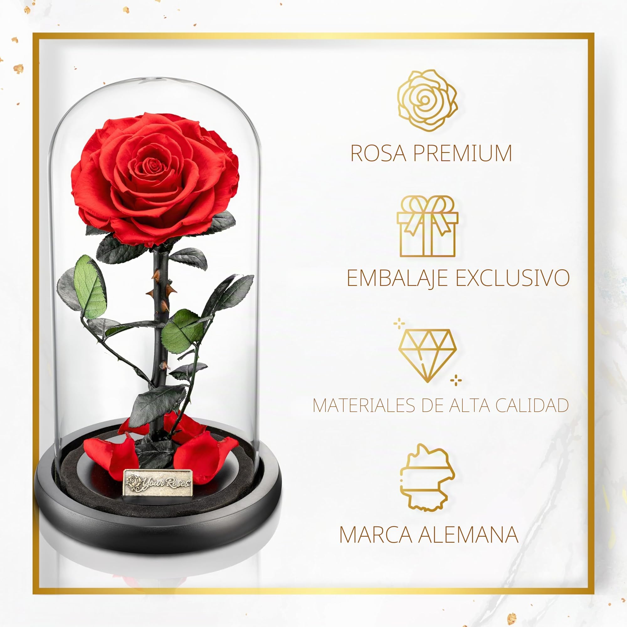 YourRoses® Rosa auténtica premium en cristal con una hermosa caja de regalo | Larga durabilidad y elegante regalo como prueba de amor | Un regalo del corazón