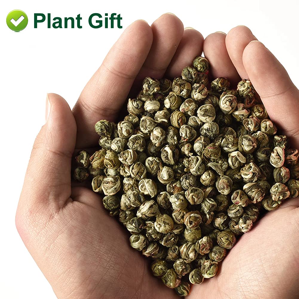Plant Gift Jasmine Dragon Pearls 130G/4.58oz 龙珠茶 Té verde hoja suelta, perlas de jazmín té dragón bola, mejor té de jazmín, té oolong