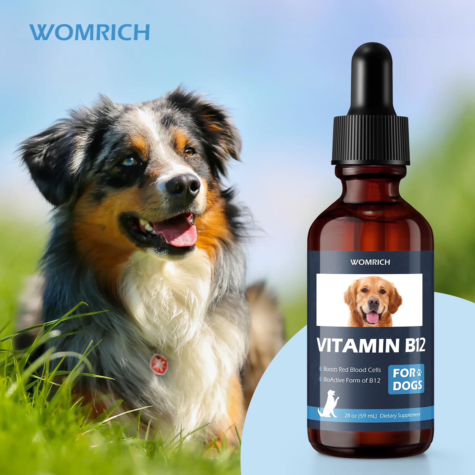 b12 for dogs injection Vitamin B-12 Injectable for Horses, Dogs and Cats 1000 mcg / 250 ml main image 1