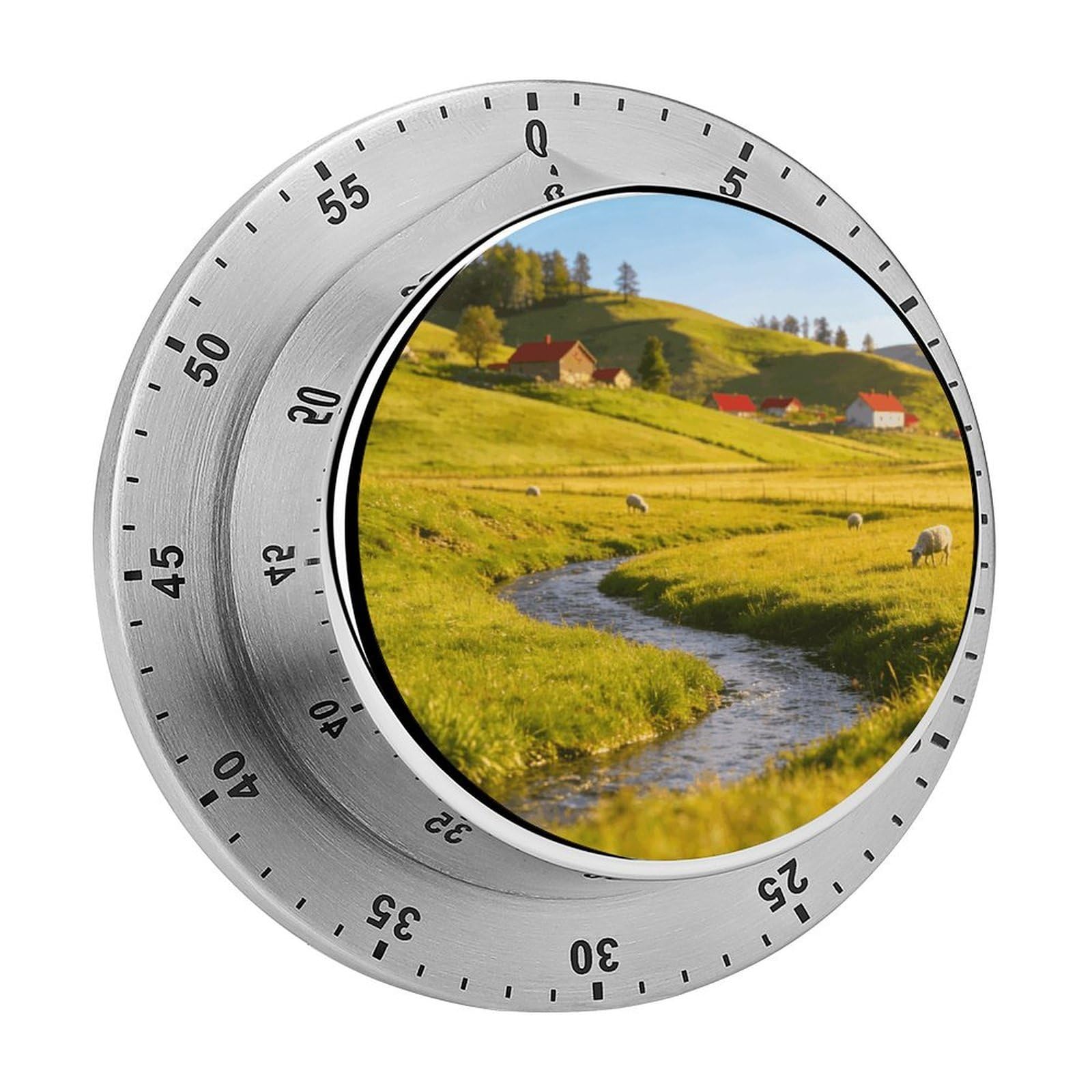 Rural Area Timer Exquisite Stainless Steel Body Desk Visual Timer with Loud Alarm 60-Minute Mechanical Countdown Timers Magnetic Backing Cooking Kitchen Timers for Work