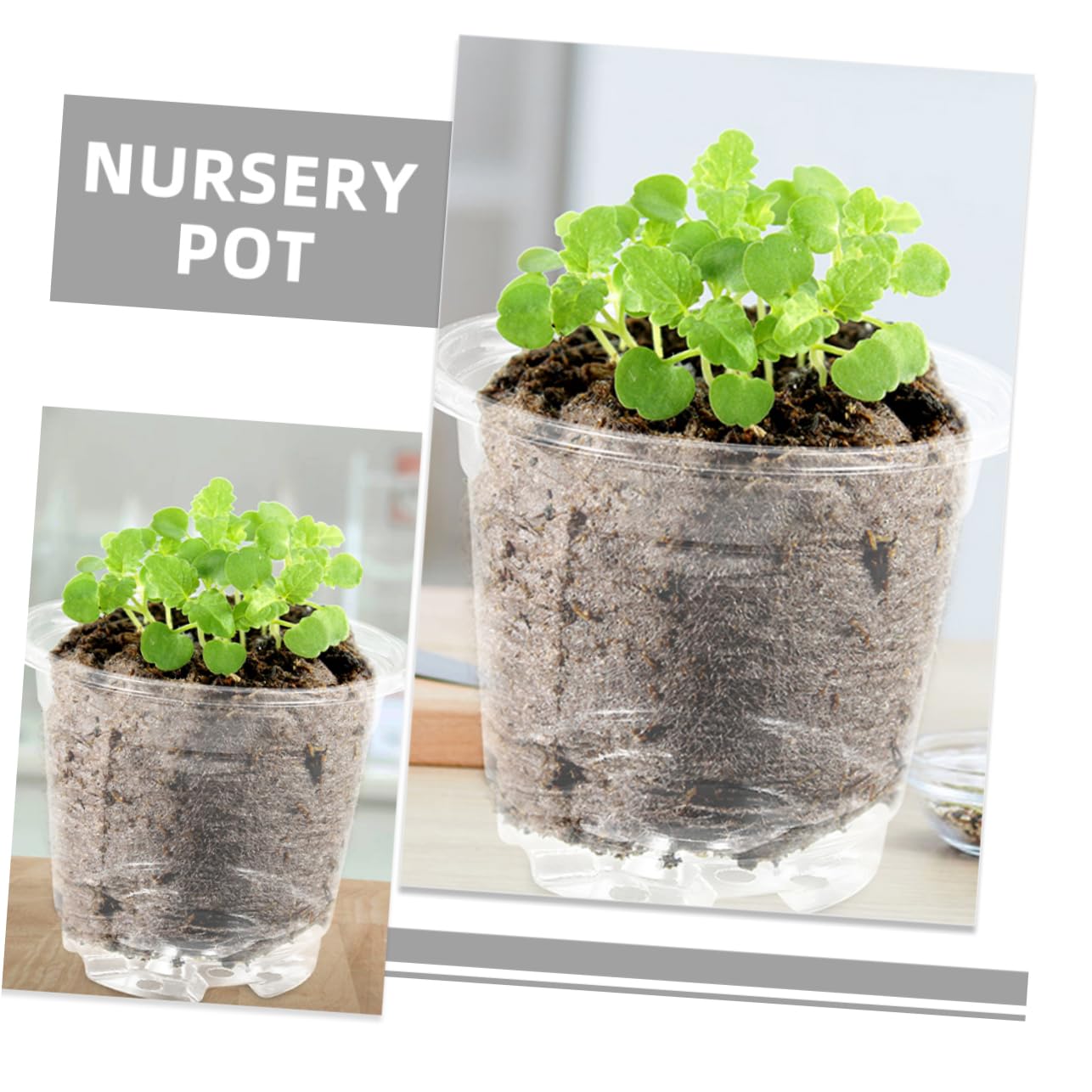 TOYANDONA Lot de 10 Sets de Petits Pots de Fleurs avec Couvercle Trous de Drainage Ajustement Température Humidité Jardinage Intérieur Extérieur