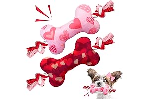 Valentine's Day Dog Toys: Perfect Dog Gift for Your Furry Valentine