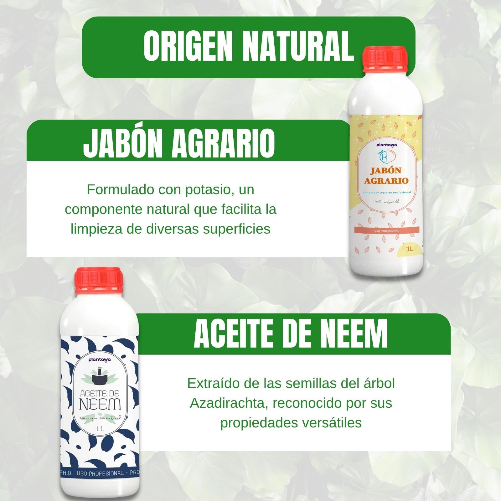 PLANTAWA Confezione risparmio sapone di potassio 1L + olio di Neem 1L, 100% naturale protezione orto, sostenibile, alta concentrazione, mosca bianca, ragno rosso, afide, cocciniglia