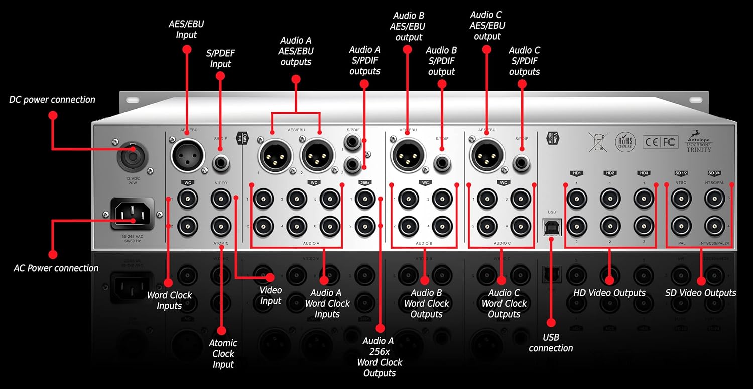 Antelope Audio Isochrone Trinity Master Clock rear panel with labels
