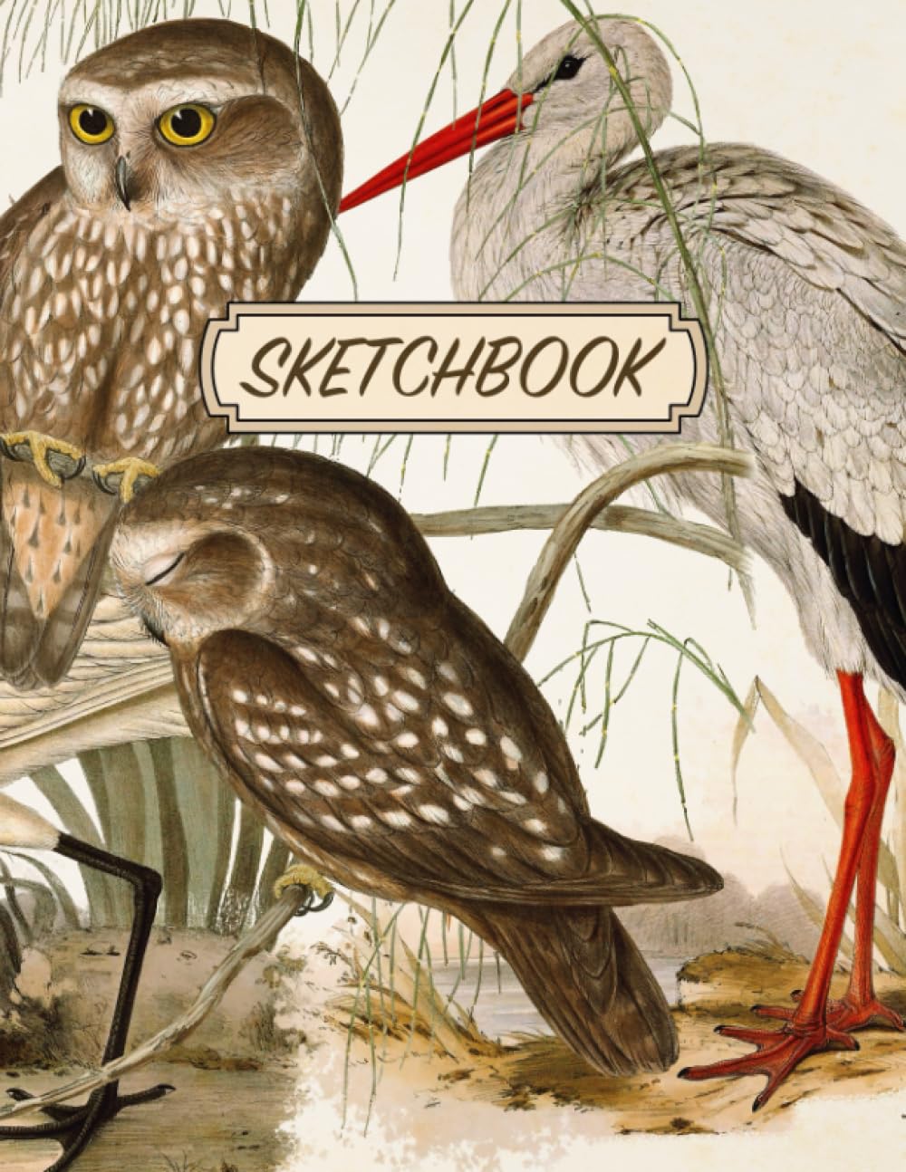 Bird Sketchbook: Aesthetic Doodles & Drawings Notebook | Vintage Wild Birds Illustrated Cover | Drawing Pad | Large Journal with Blank Pages for Drawing, Sketching, Journaling, and Doodling