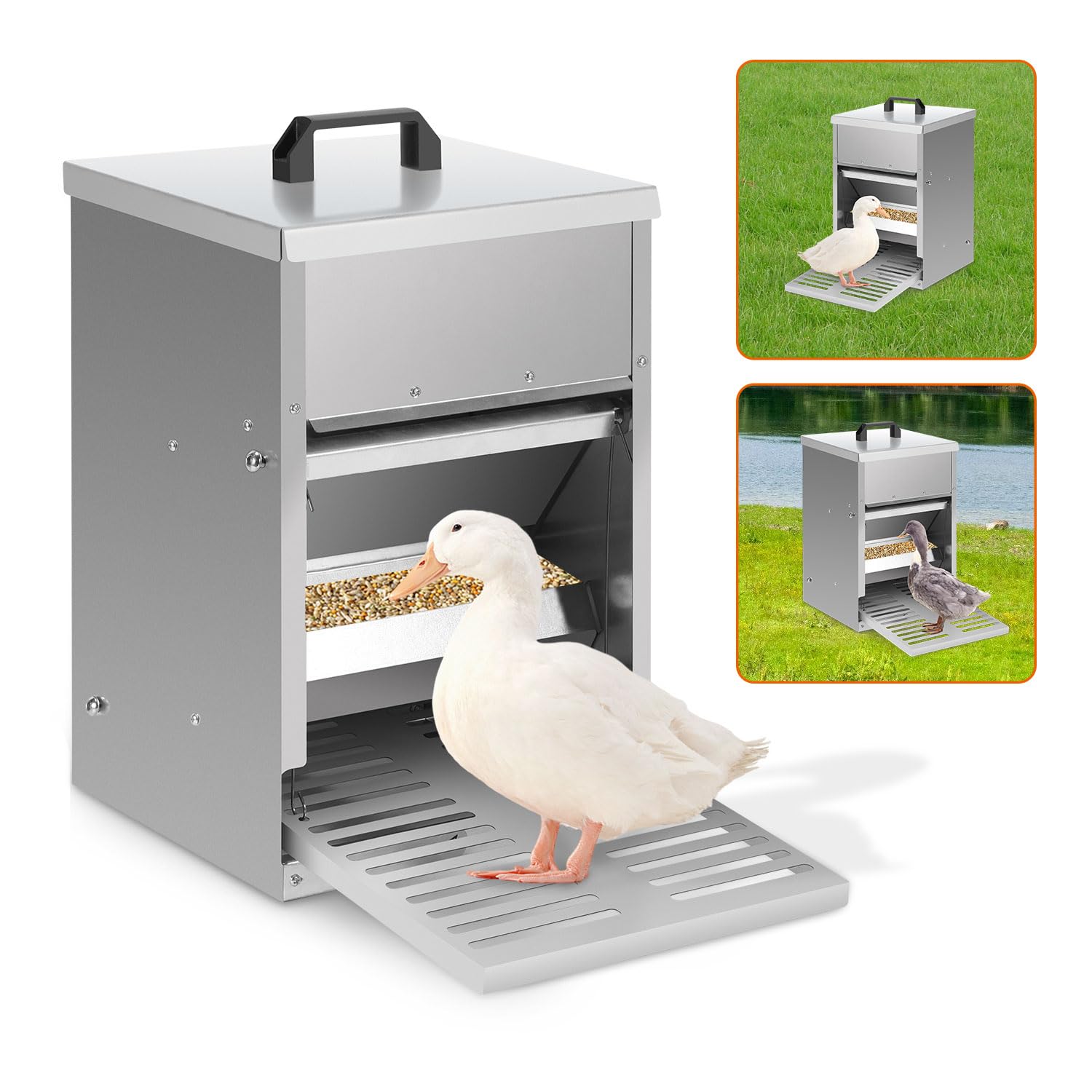 Mangiatoia automatica per polli con vassoio per alberi, coperchio, 5 kg, zincato, impermeabile, per polli, 1 distributore per mangime per polli sicuro per ratti
