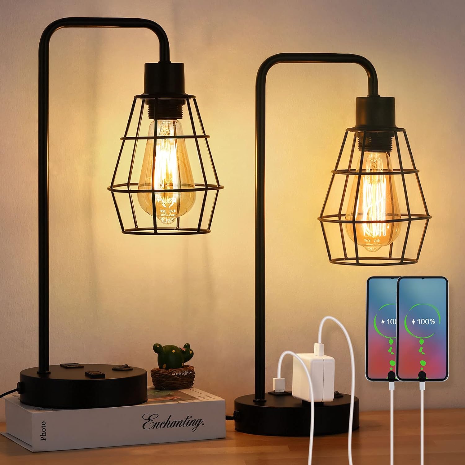 BTY USB Edison Table Lamp Set of 2, Bedside Nightstand Desk Lamps with Dual USB Charging Ports and 2 Prong AC Outlet Metal Wire Cage Industrial Reading Table Lamp for Bedroom Living Room Farmhouse