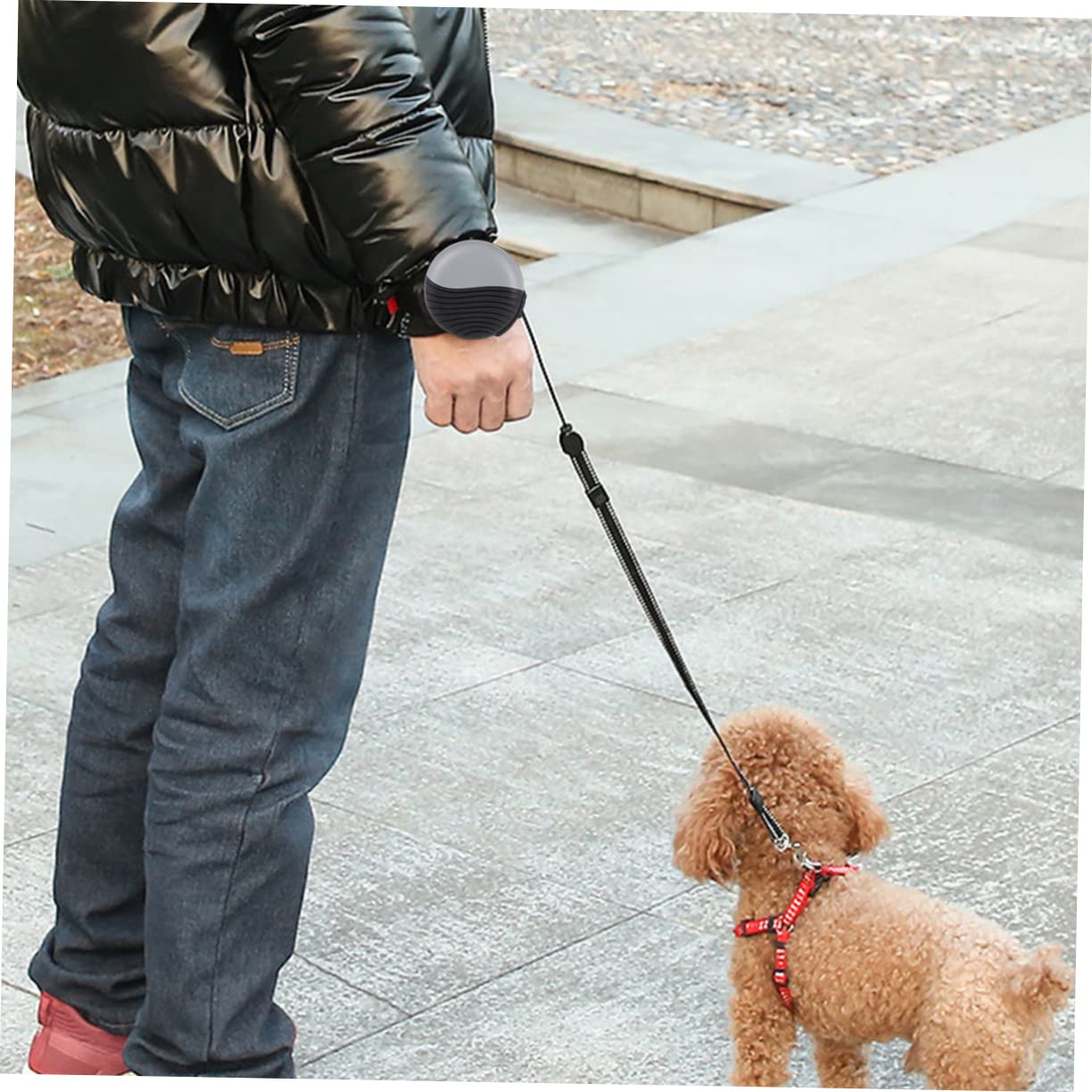 TOYANDONA Correa Retráctil Automática para Perros De Nailon Metros De Longitud para Paseos El Parque Mascotas Pequeñas