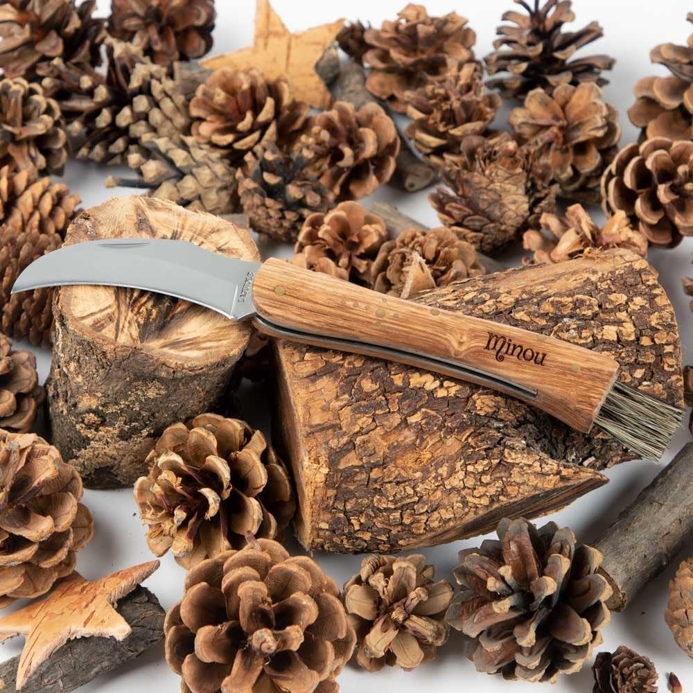 LAGUIOLE - Coltello per Funghi - Confezione regalo - acciaio inossidabile - grigio