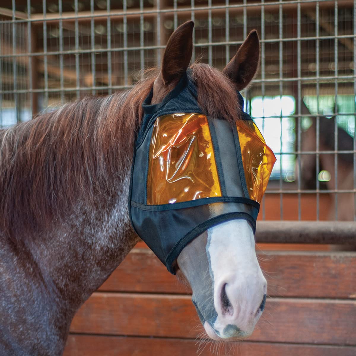 Amazon.com: Xpertequine Restoration Equine Mask N/A EXTRALARGE