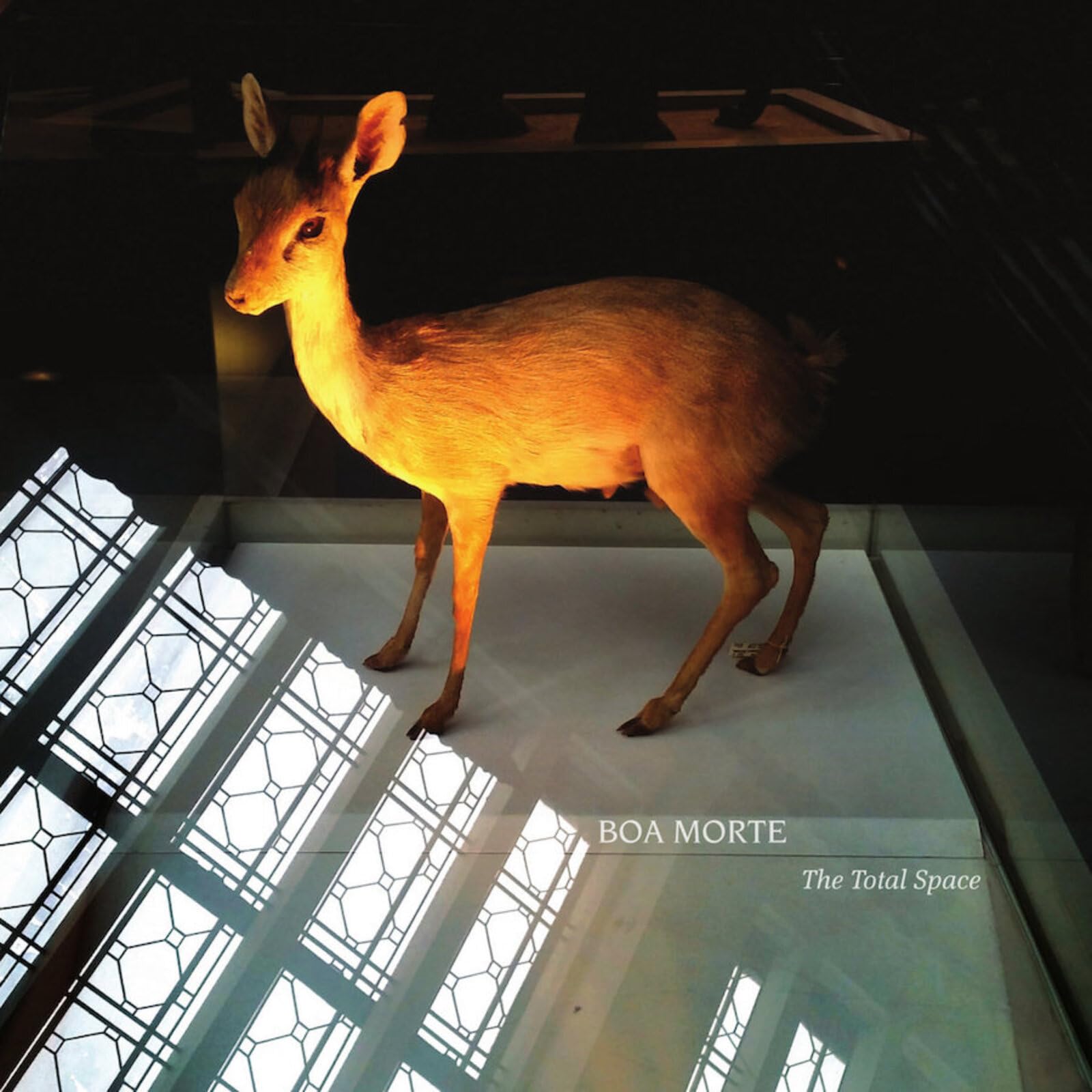 Boa Morte - The Total Space LP Album vinyl record 2023 on Gare Du Nord