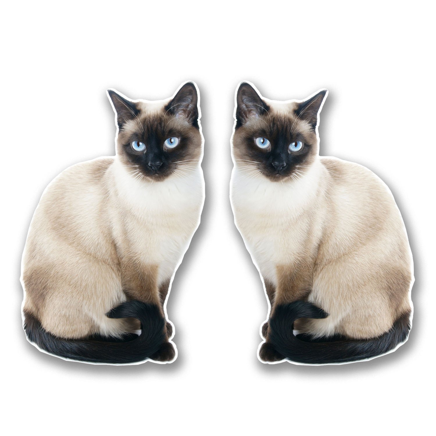 Destinationvinyl Multi 2 X 10Cm Cat Vinyl Sticker Decal Laptop Tablet Animal Siamese Thai #6301 (6.5Cm Wide X 10Cm Tall)