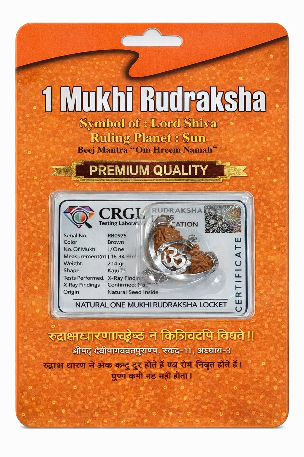 Genuine Nepali One Mukhi Rudraksha Pendant -4