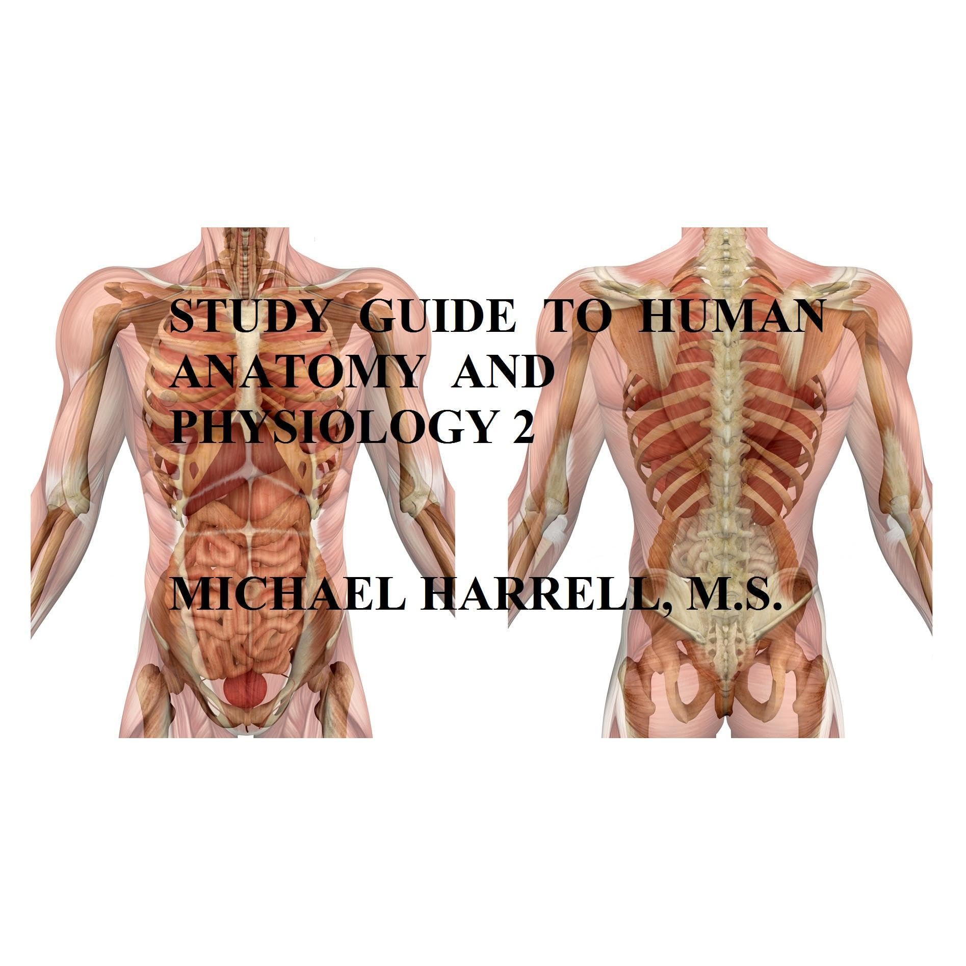Study Guide to Human Anatomy and Physiology 2
