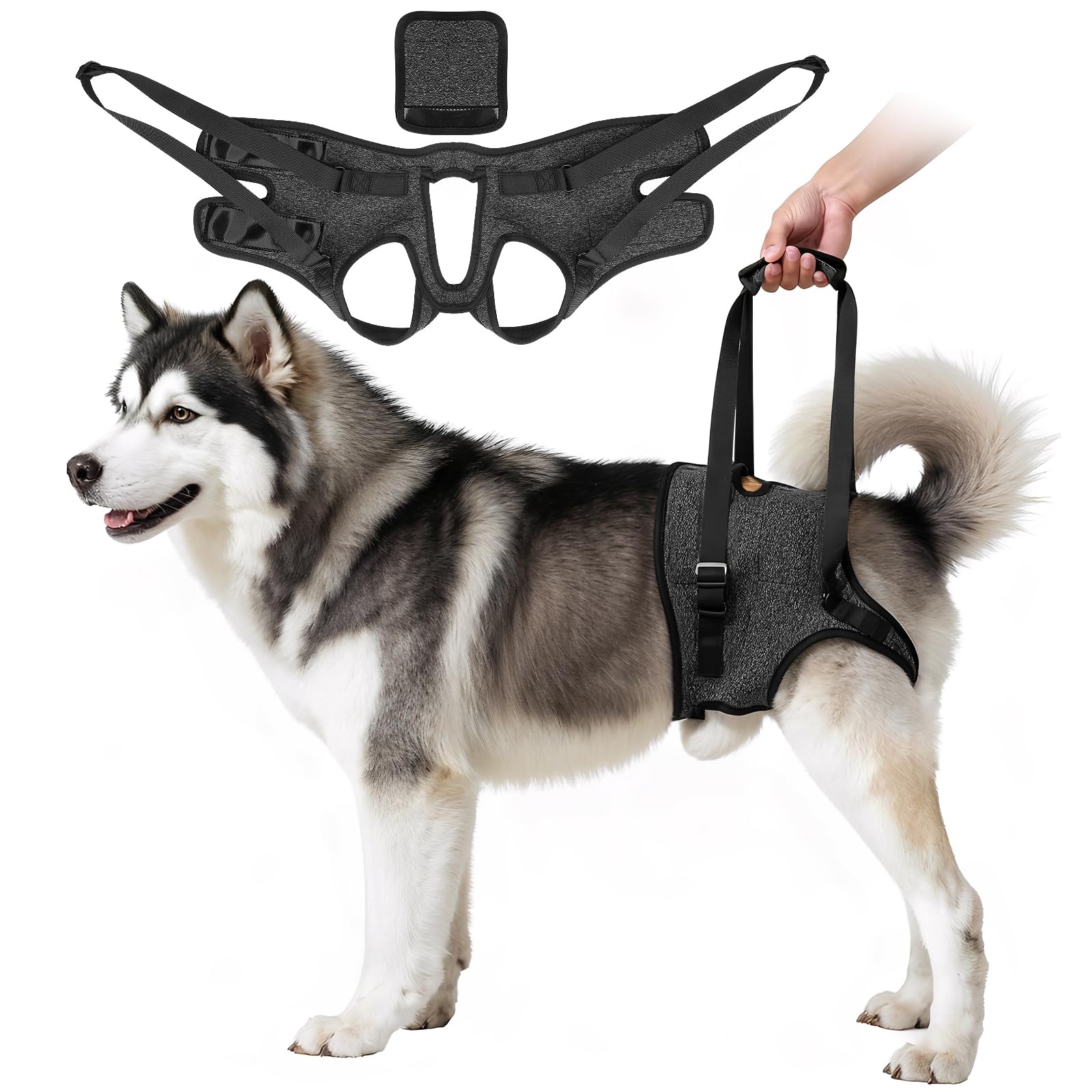 Dog Lifting Harness for Back Legs, Walking Assistance Rehabilitation Harness with Padded Handle Adjustable Support Sling Hind Leg Brace, Mobility Aid for Injured, Disabled, Elderly Dogs