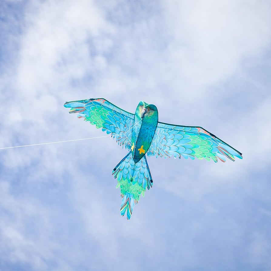 ハミングバード Amazon.com: In the Breeze 3509 — 3D Blue Parrot Kite