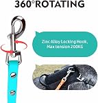 Waterproof Biothane Long Dog Leash, Heavy Duty Dog Training Leash 6ft 10ft 15ft 30ft 50ft, Easy to Clean Long Line for Small, Medium Large Dogs,Outdoor Recall (Mint Green, 10FT)