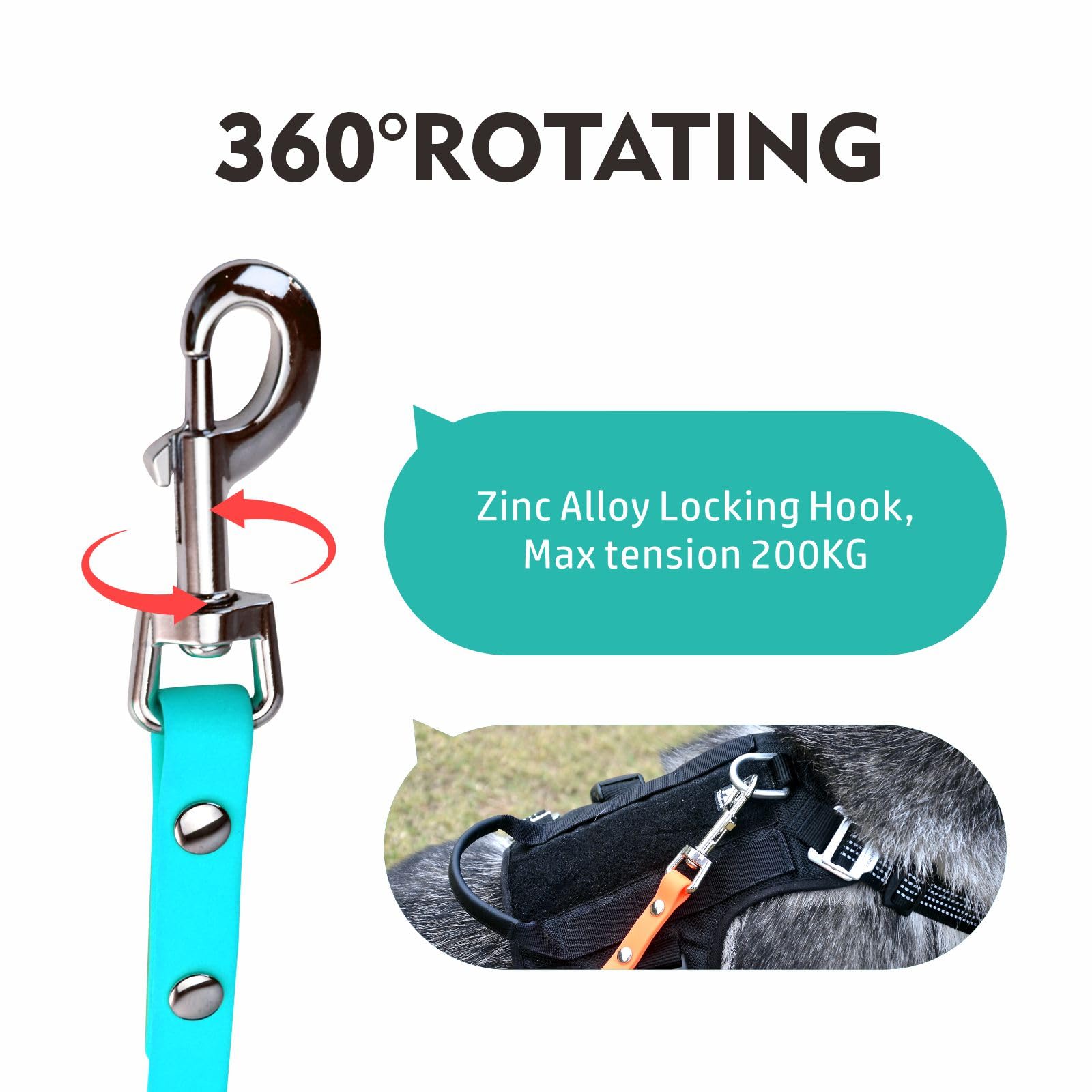 myyAA Dog Training Leash, Waterproof Long Dog Leash, Easy to Clean Long Line 6FT 10FT 15FT 30FT 50FT for Small, Medium, Large Dogs (Mint Green, 6FT) in use