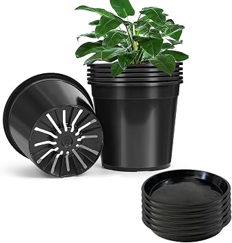 3 Gallon Plastic Pots for Plants + Tray