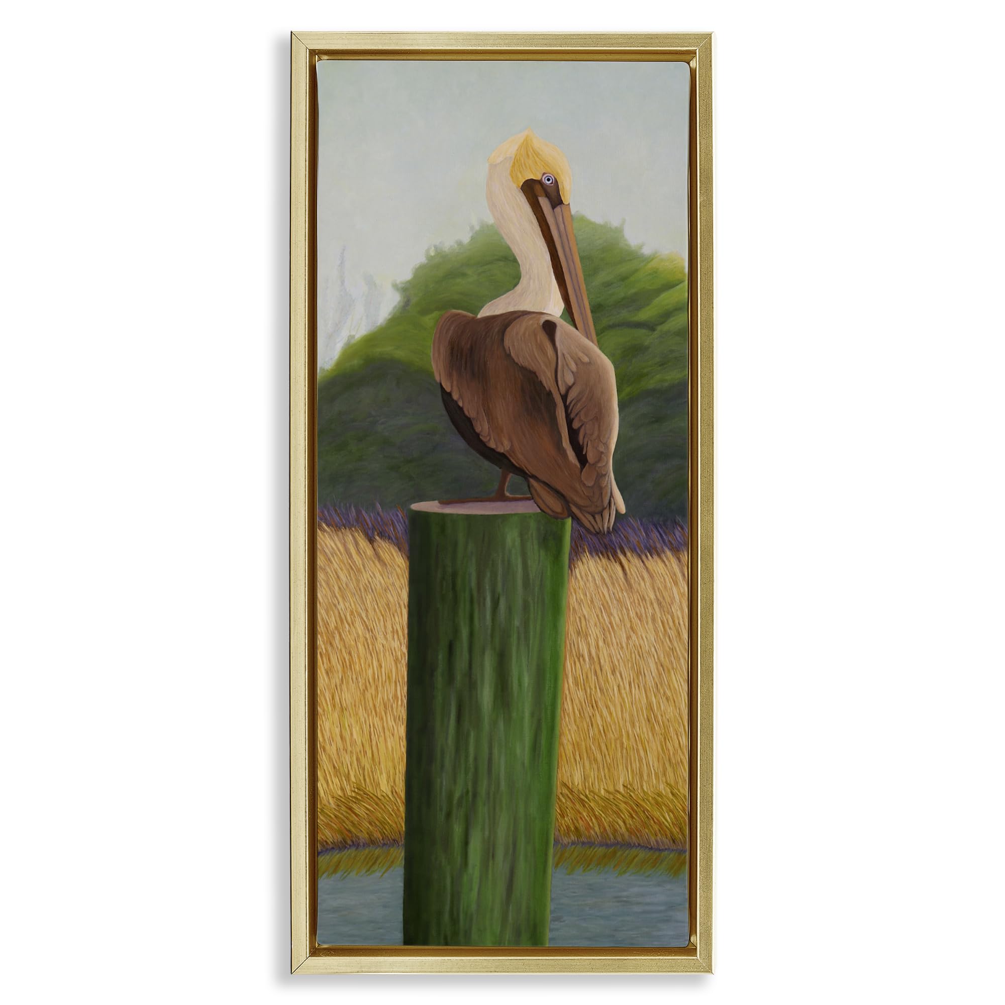 Stupell Industries 'Pelican with Blue Eyes', Floating Frame Canvas Art, Gold, 11 x 25 Inches, Easy to Hang and Sturdy, Made in USA, by Barbara Fallenbaum