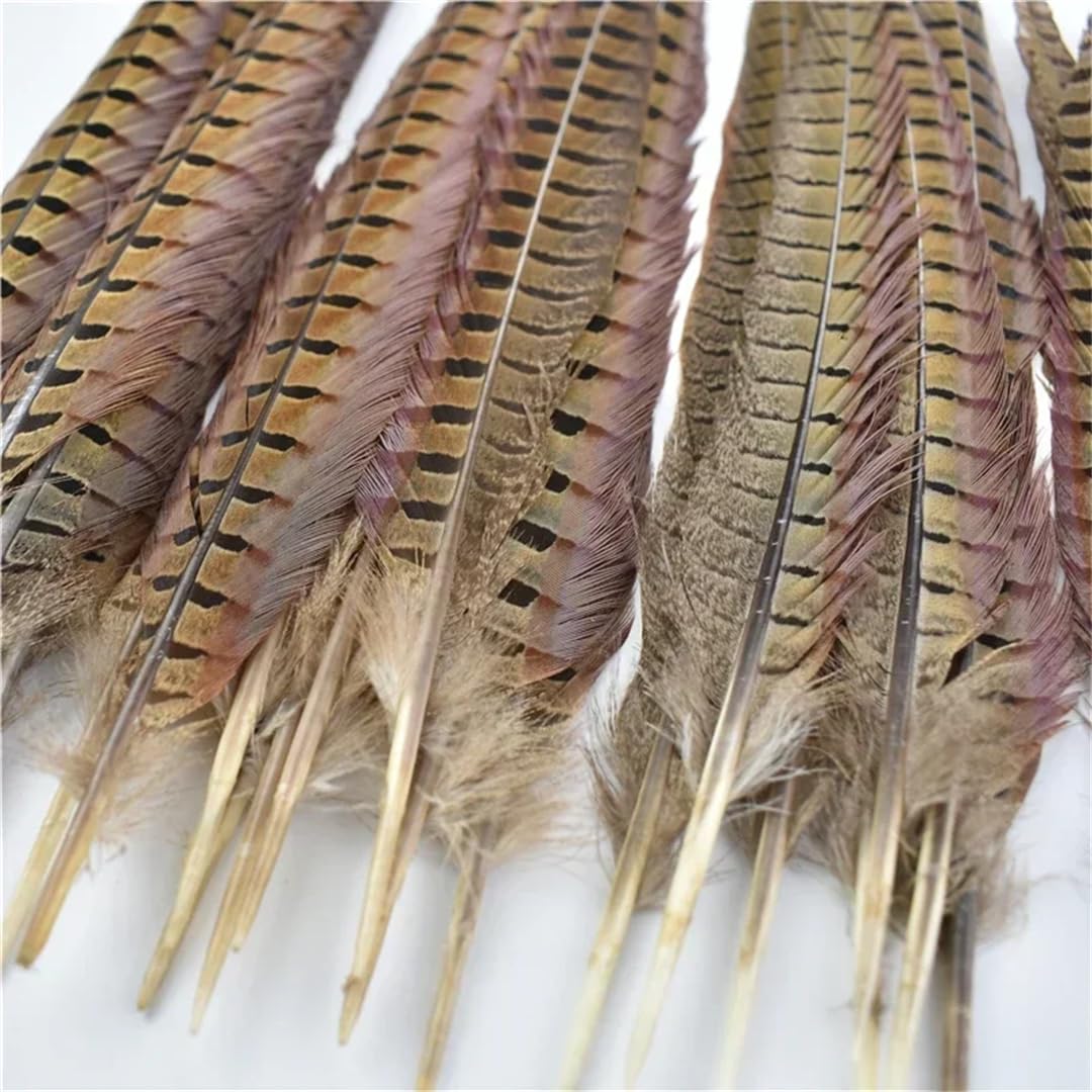 Lot de 50 plumes naturelles à longue queue de 10 à 75 cm pour travaux manuels, extensions de cheveux et décorations à faire soi-même