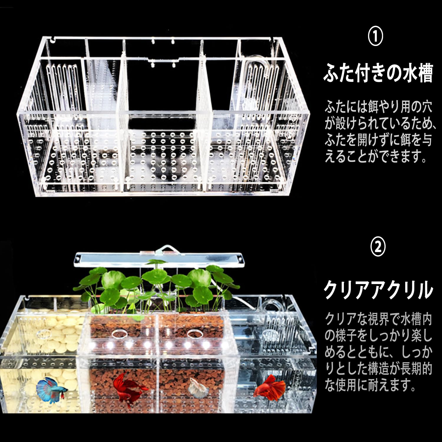 Amazon | FWYTT ミニデスクトップベタ水槽セット アクリル素材 ベタ