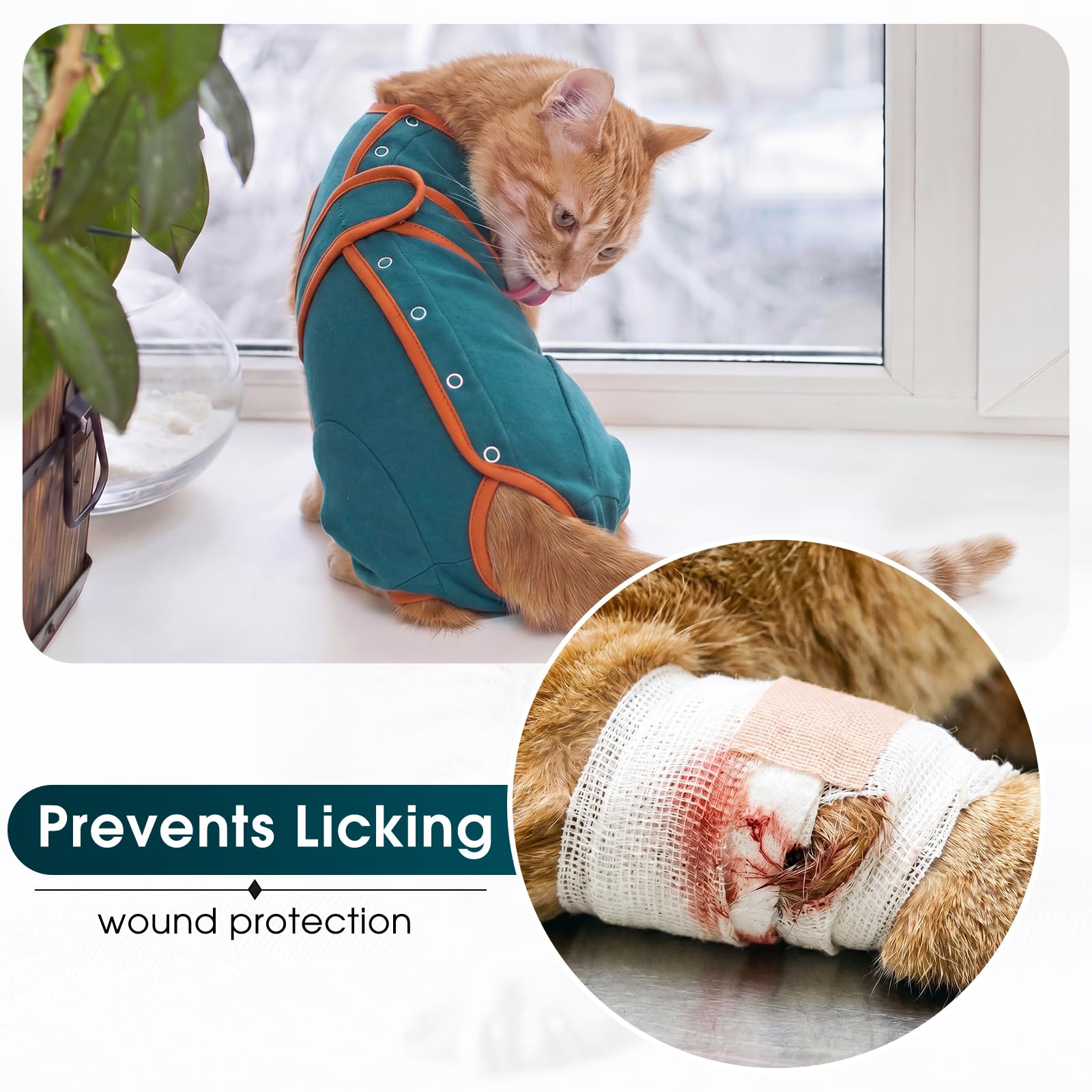 DENTRUN Tuta per il recupero del gatto, tuta intera post-operatoria con zampe posteriori, bottone a pressione posteriore, facile da mettere e togliere, previene leccate e protezione dalle ferite