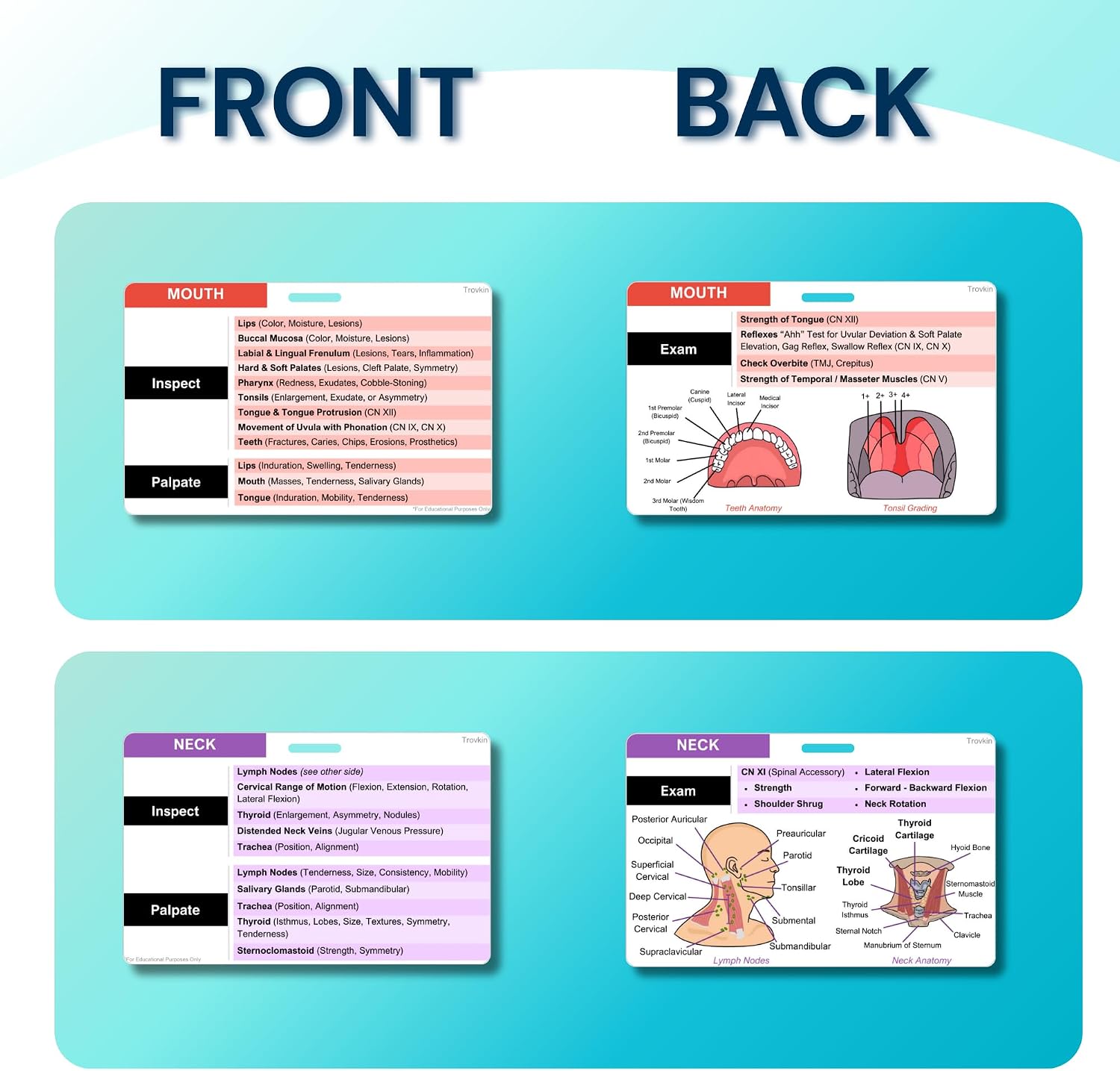 HEENT Nursing Badge Reference Cards Set Patient Examination Head Eyes Ears Nose Throat, Cranial Nerves Card, Reference Badge Buddy, Medical Professionals, Nursing Students, Waterproof and Durable