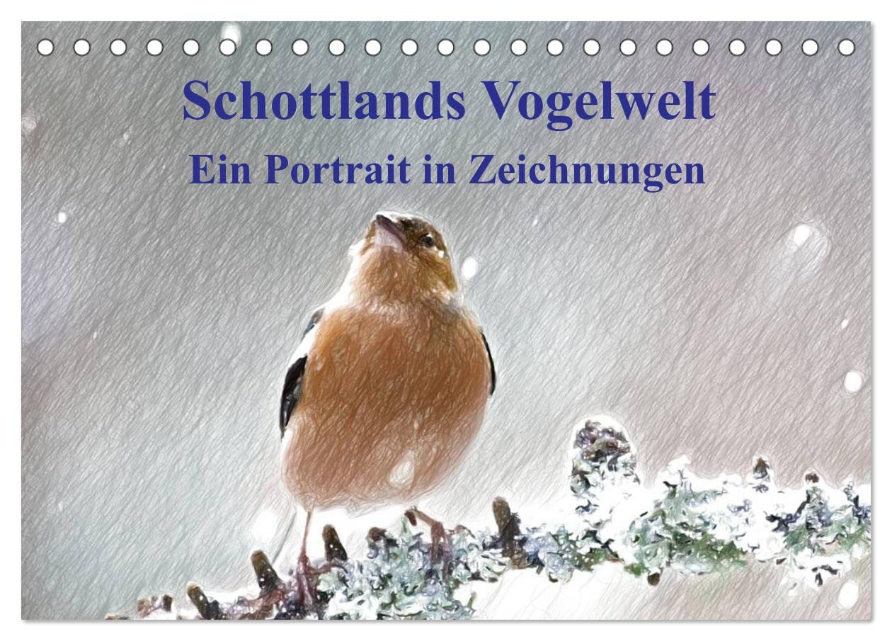 Schottlands Vogelwelt - Ein Porträt in Zeichnungen (Tischkalender 2025 DIN A5 quer), CALVENDO Monatskalender: Dieser Kalender ist ein Streifzug durch ... in farbigen Zeichnungen (CALVENDO Natur)