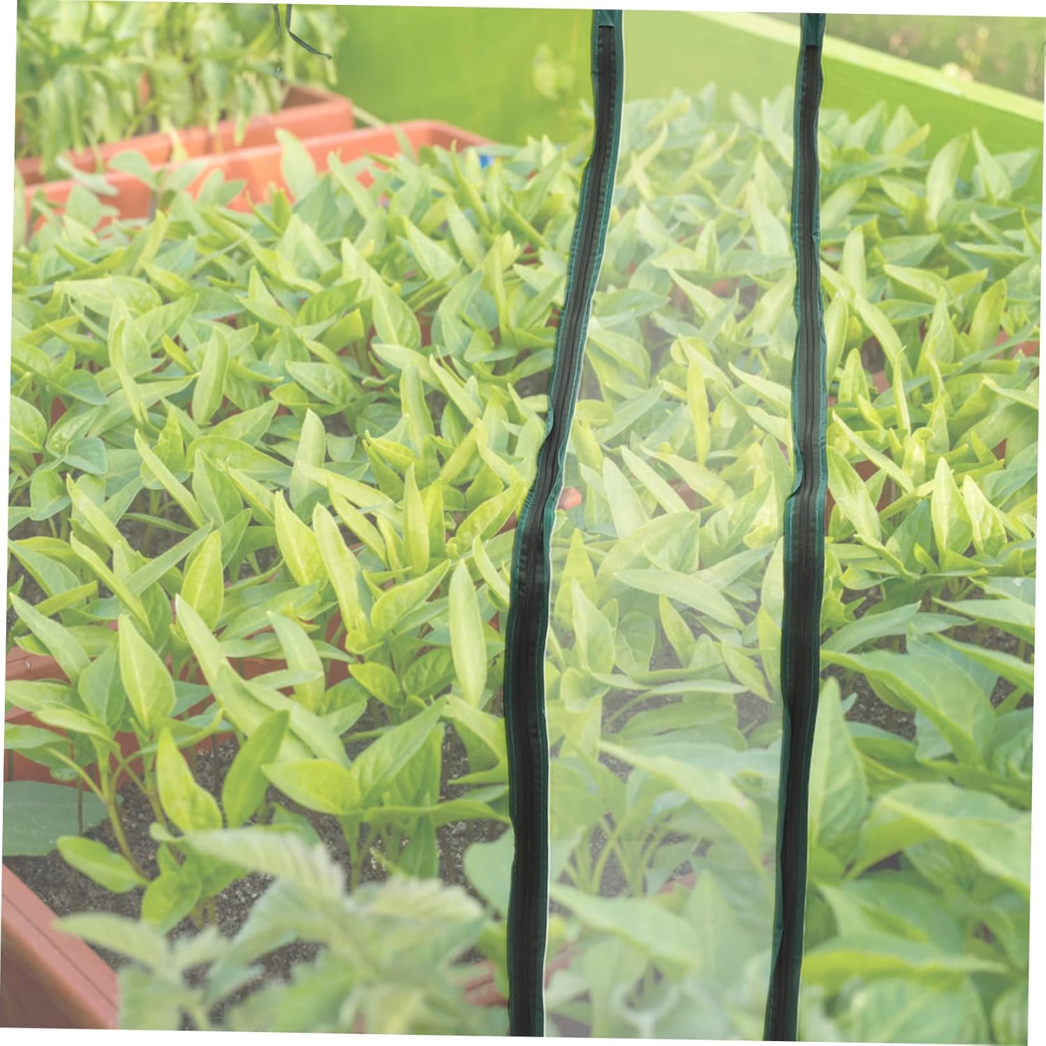 1.8m Garden Greenhouse Cover Mini Greenhouse Tent Rainproof Sunshade Lightweight Portable Home Plant Protective Cover