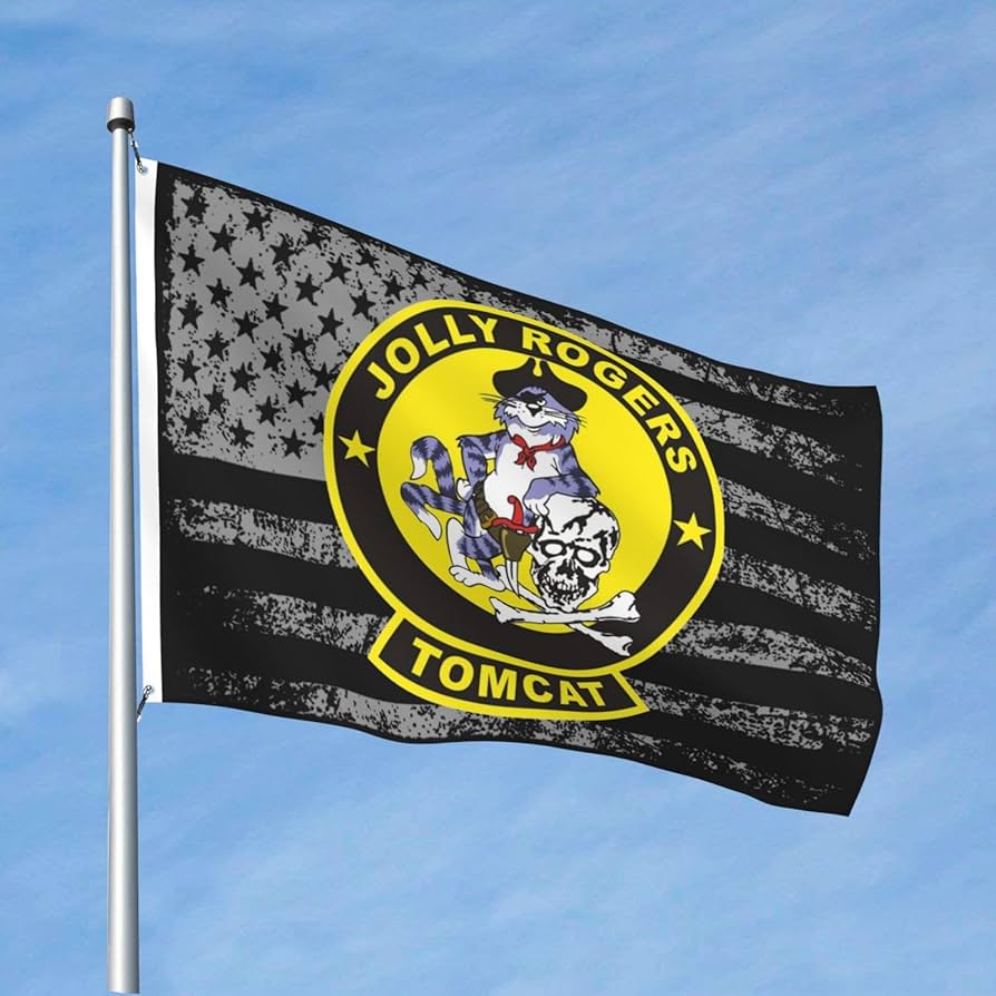 ★☆ 1/144 VF-84 Jolly Rogers ☆★ Aviation fighters 1/144 F-14A Tomcat VF-84 jolly Rogers