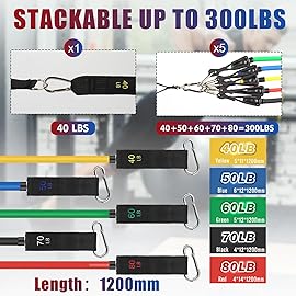 WIKDAY Exercise Resistance Bands with Handles for Working Out, 150/200/250/300 Lbs Workout Bands Set with Door Anchor for Physical Therapy, Yoga, Pilates