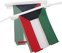 Vista 69 de Guatemala 19.7 ft BUNTING Flag 20 banderas 9'' x 6'' - Banderas de cuerda guatemalteca 5.9 x 8.3 in - AZ FLAG