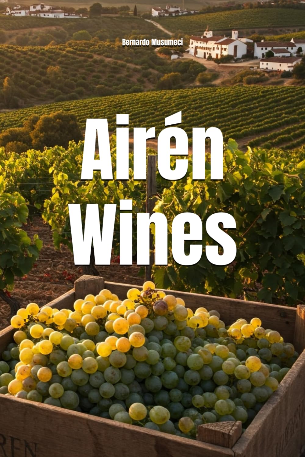 Airén Wines (Wines of the World: Spain)