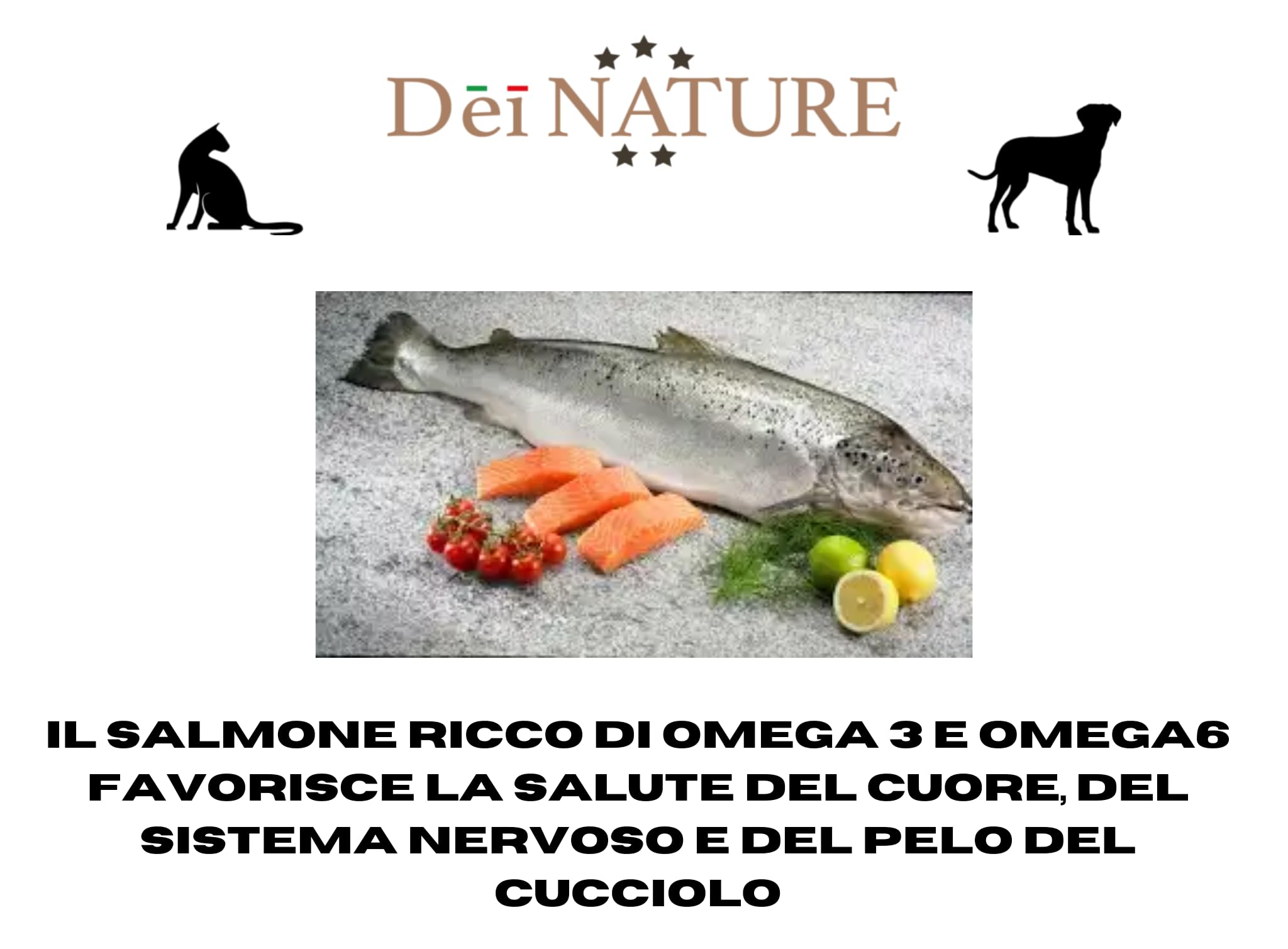 Pienso para cachorros, todas las razas, monoproteico al salmón, hipoalergénico, 12 kg