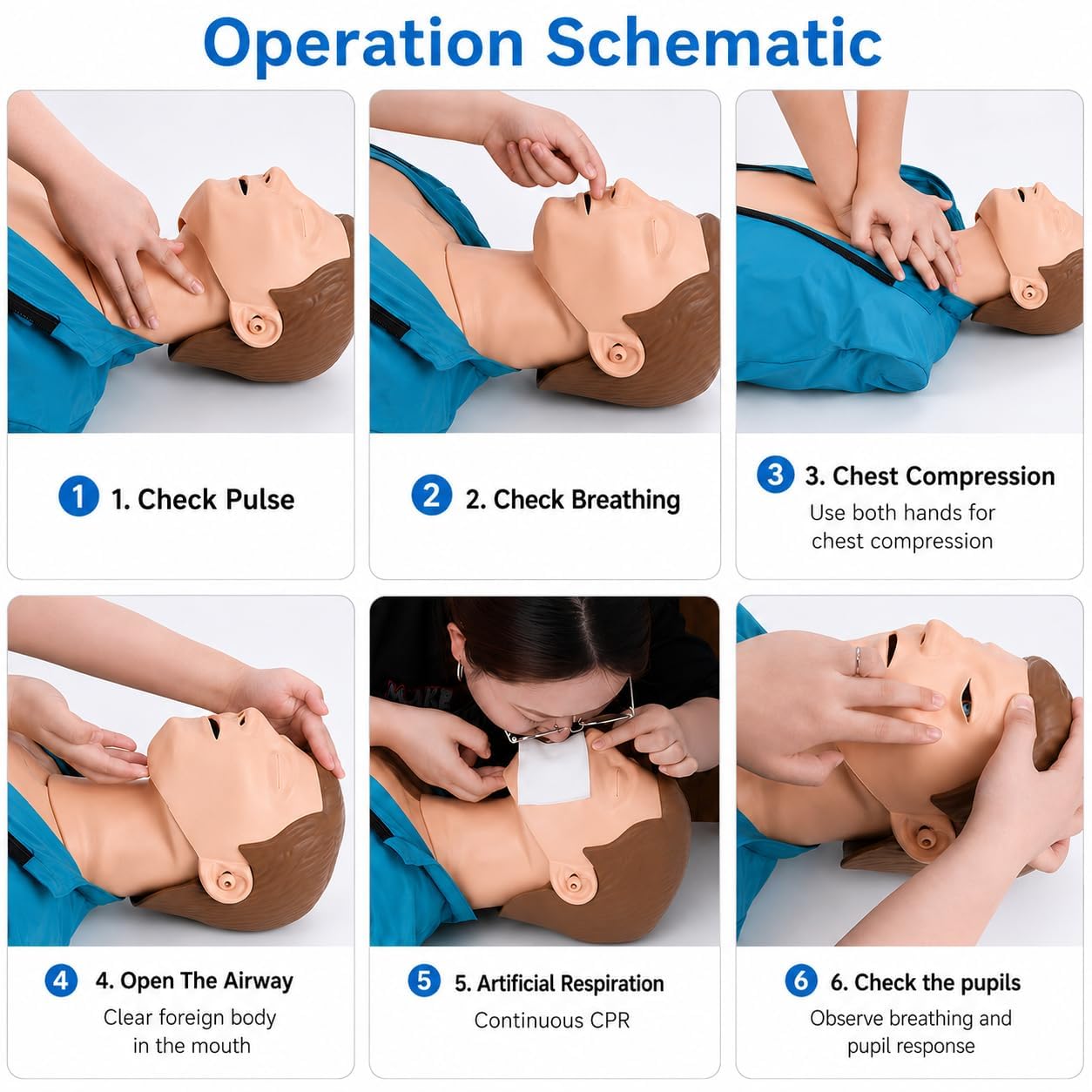 CPR-Trainingspuppe für Erwachsene, Halbkörper-Reanimation, Übungsmodell